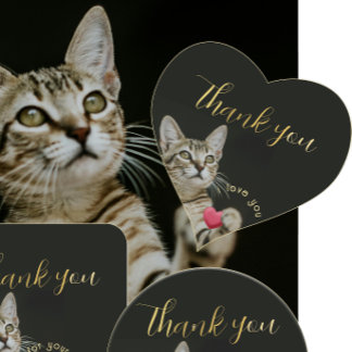 Cute Kitten I love you with Heart Sticker