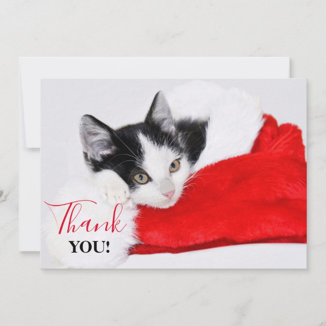Cute Kitten in Santa Hat Thank You Card (Front)