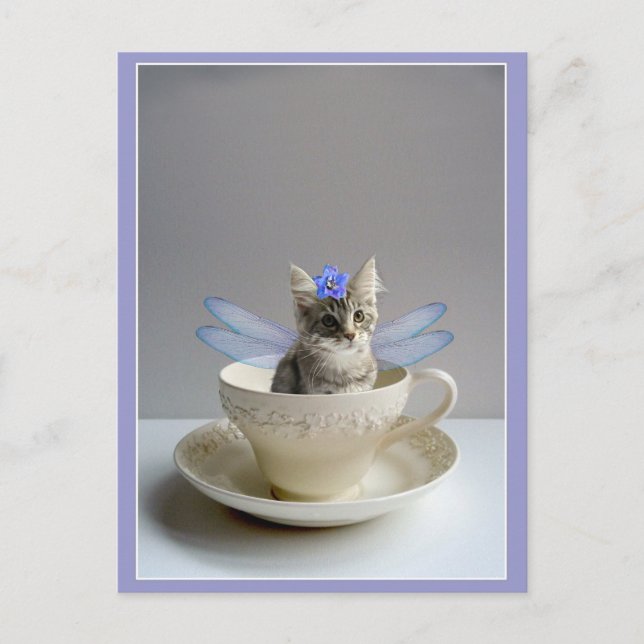 Cute kitten in tea cup postcard (Front)
