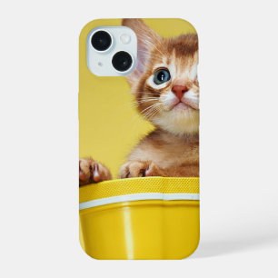 Cute kitten in yellow bucket iPhone 15 case