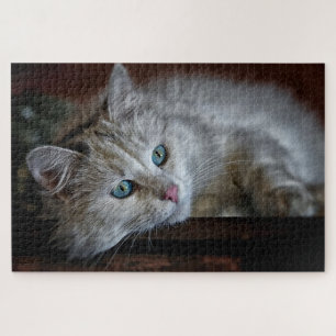 Cute Kitten Jigsaw Puzzle