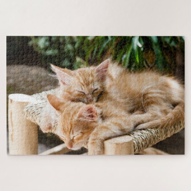 Cute Kitten Jigsaw Puzzle (Horizontal)