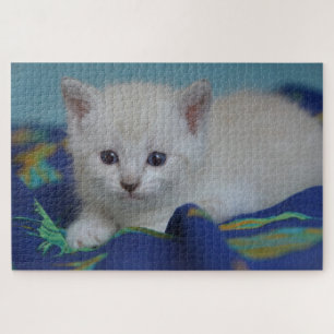 Cute Kitten Jigsaw Puzzle