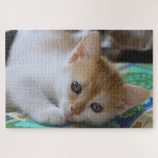 Cute Kitten Jigsaw Puzzle (Horizontal)