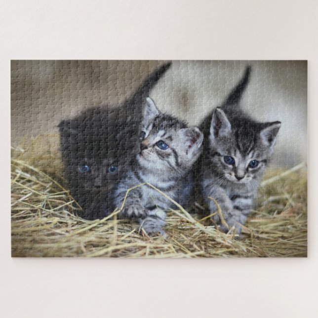 Cute Kitten Jigsaw Puzzle (Horizontal)