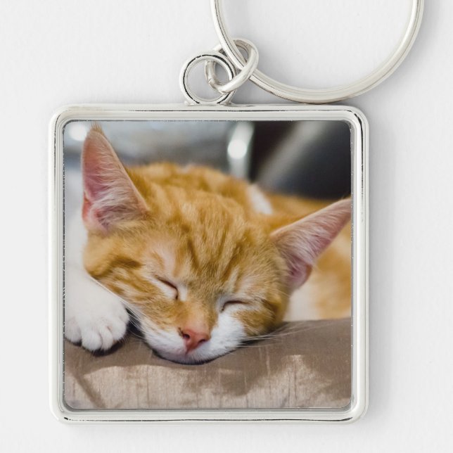 Cute Kitten Key Ring (Front)