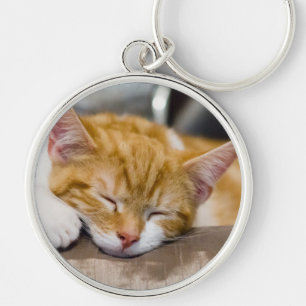 Cute Kitten Key Ring