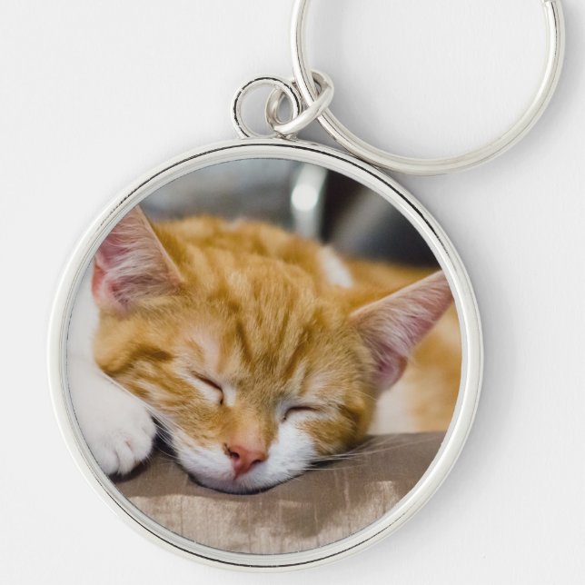 Cute Kitten Key Ring (Front)
