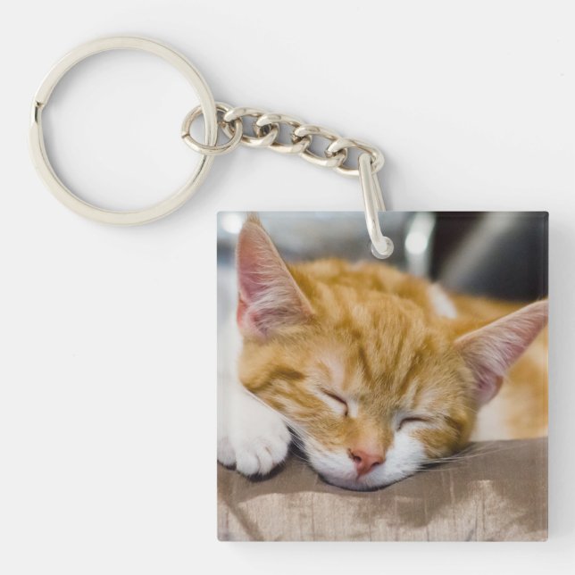 Cute Kitten Key Ring (Front)