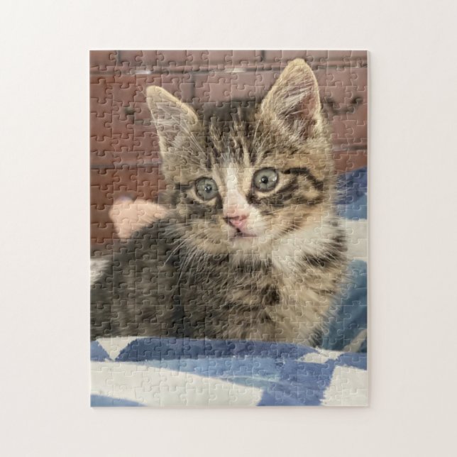 Cute Kitten | Leave this Pic or Add Your Own Jigsaw Puzzle (Vertical)