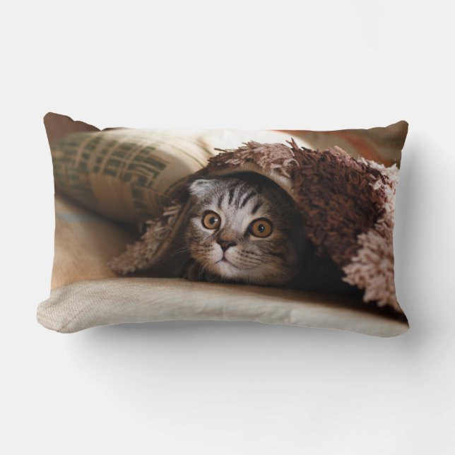 Cute kitten looking from sofa lumbar cushion (Front)