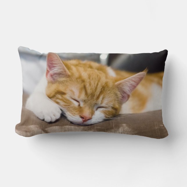 Cute Kitten Lumbar Cushion (Front)