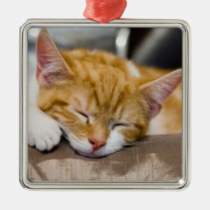 Cute Kitten Metal Tree Decoration