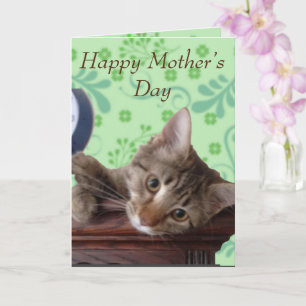 Cute Kitten Mother's Day Card