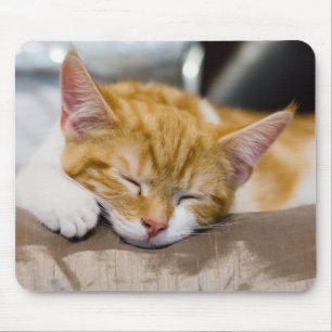 Cute Kitten Mouse Pad