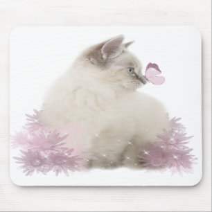 cute kitten mousepad