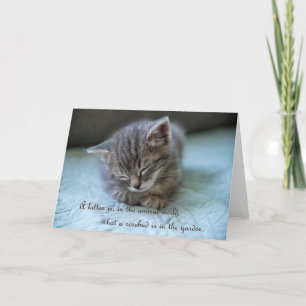 Cute Kitten Note Card