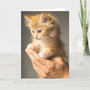 Cute Kitten on hands Card