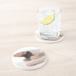 Cute Kitten or Your Photo Simple Round Sandstone Coaster