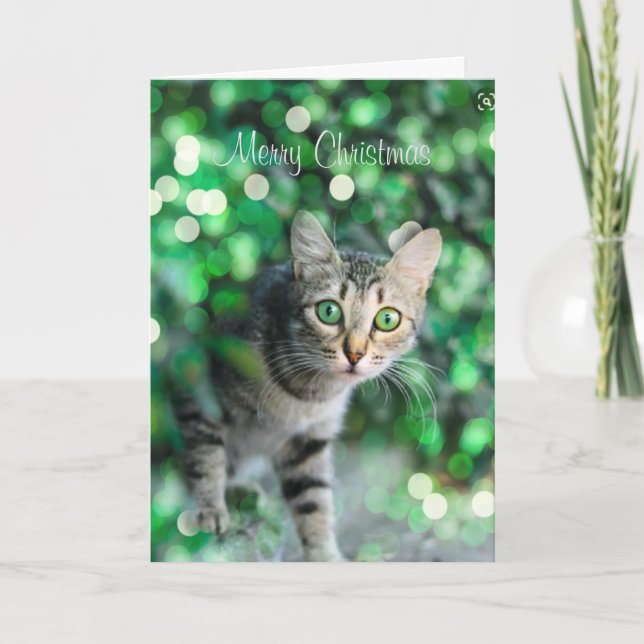 Cute Kitten Personalised Christmas Card (Front)