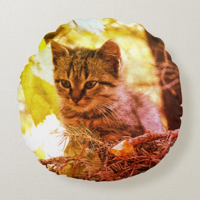 Cute Kitten Photo Baby Cat  Round throw cushion (Front)