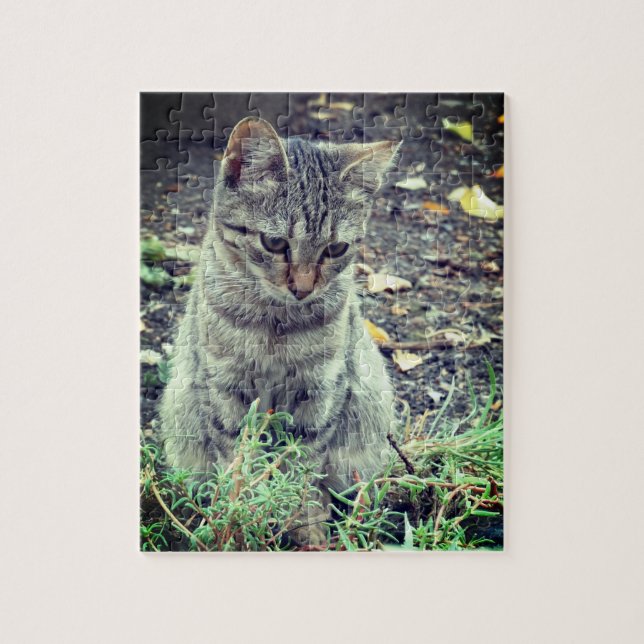 Cute Kitten Photo Jigsaw Puzzle (Vertical)