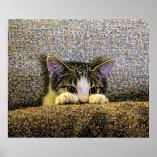Cute Kitten Photo Mosaic. Poster