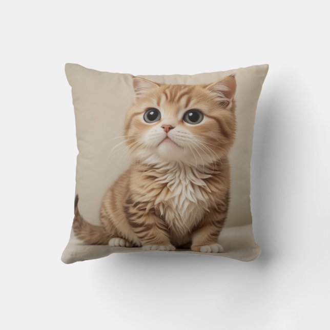 Cute kitten pillow cushion (Back)