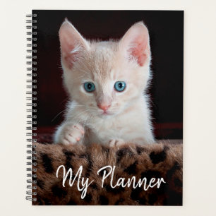 Cute Kitten Planner