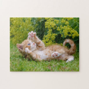 Cute kitten playing in a flowery garden .. jigsaw puzzle