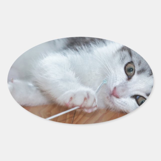 Cute Kitten playing with string Oval Sticker (Front)