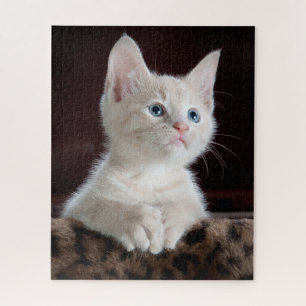 Cute Kitten Portrait Jigsaw Puzzle