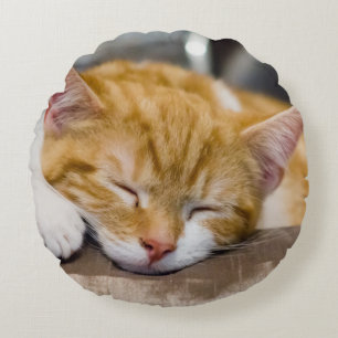 Cute Kitten Round Cushion