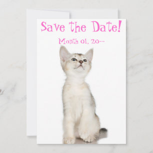 Cute Kitten Save the Date Announcements