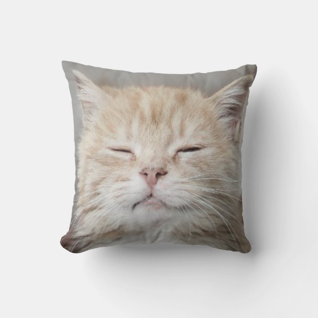 Cute Kitten Sleeping Face Cat Lover Cushion (Front)