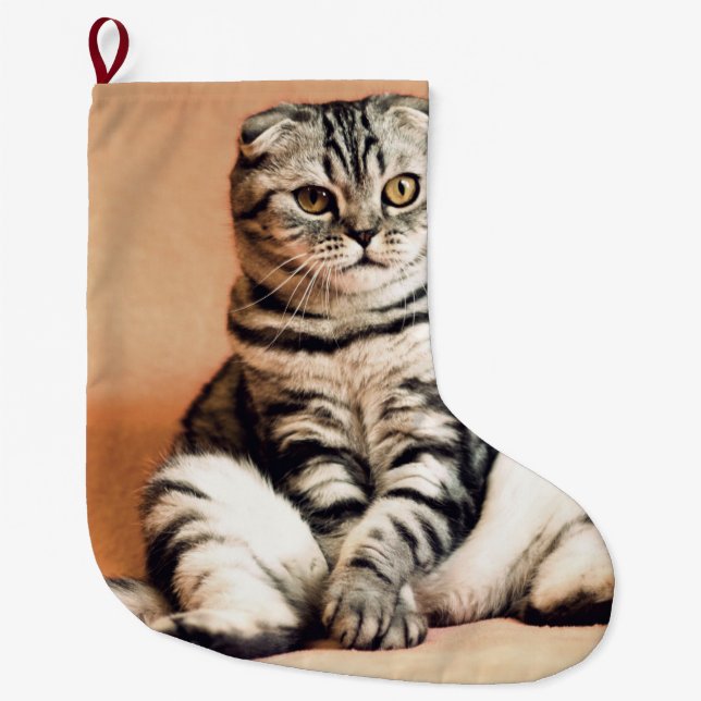 Cute Kitten Sprawled Out Large Christmas Stocking (Front)