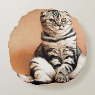 Cute Kitten Sprawled Out Round Cushion