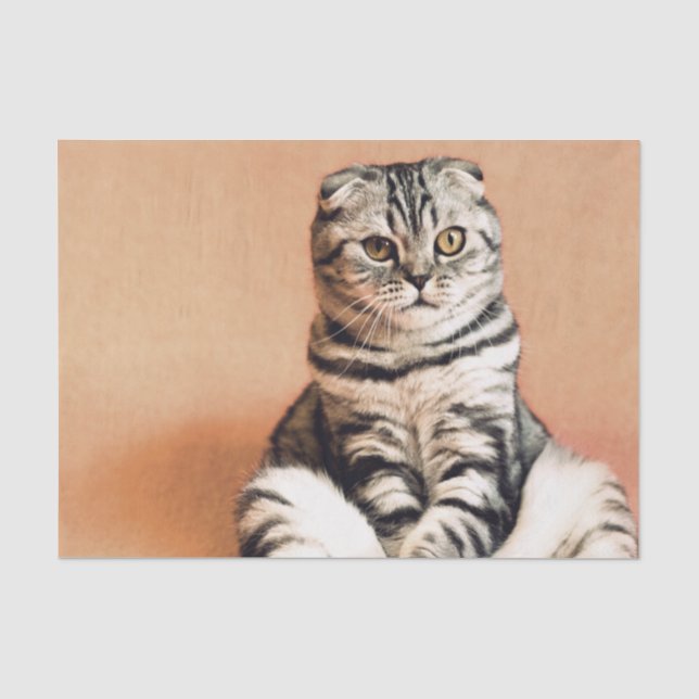 Cute Kitten Sprawled Out Tissue Paper (Front)