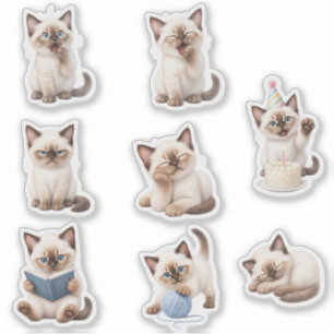 Cute Kitten Sticker Pack Expressive and Adorable