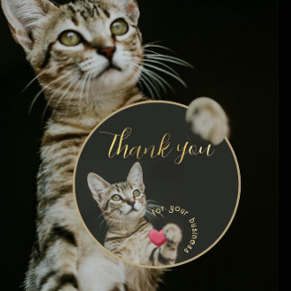 Cute Kitten Thank You for Your Business with Heart Classic Round Sticker
