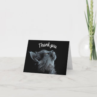Cute kitten THANK YOU greetings card