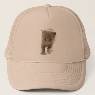 cute kitten trucker hat