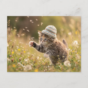Cute Kitten Wearing a Hat Playing with Dandelions Postcard