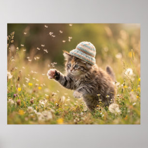 Cute Kitten Wearing a Hat Playing with Dandelions Poster