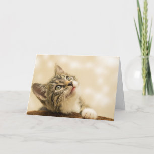 Cute Kitten with an Outstretched Paw Card