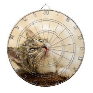 Cute Kitten with an Outstretched Paw Dartboard