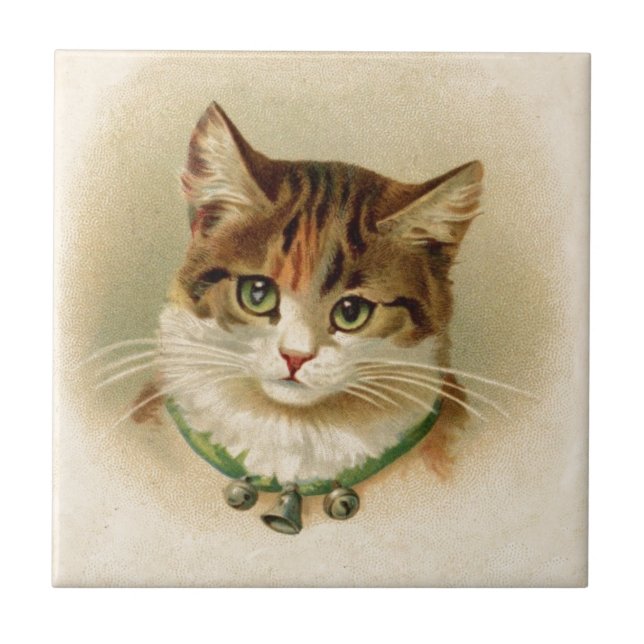 Cute kitten with bells on necklace - for cat lover tile (Front)