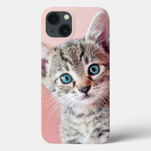 Cute kitten with blue eyes. iPhone 13 case