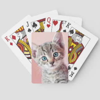 Cute kitten with blue eyes. playing cards