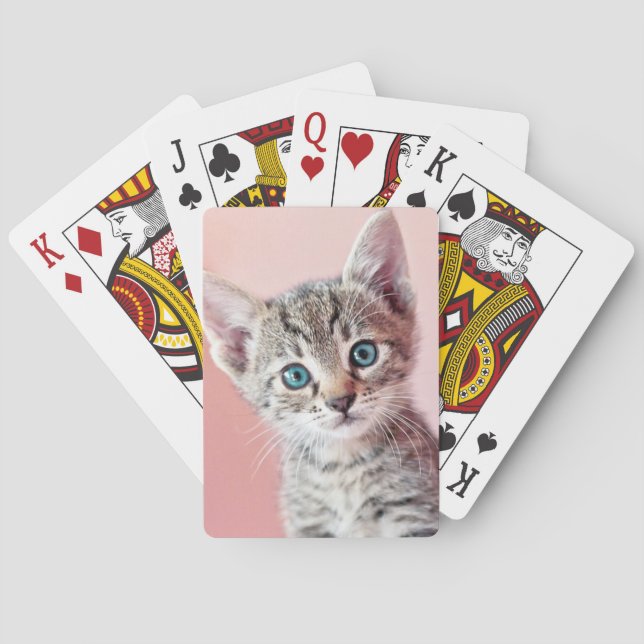 Cute kitten with blue eyes. playing cards (Back)